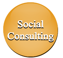 Social System Consulting